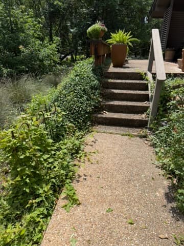 Walkway Reclaim — South Austin — before