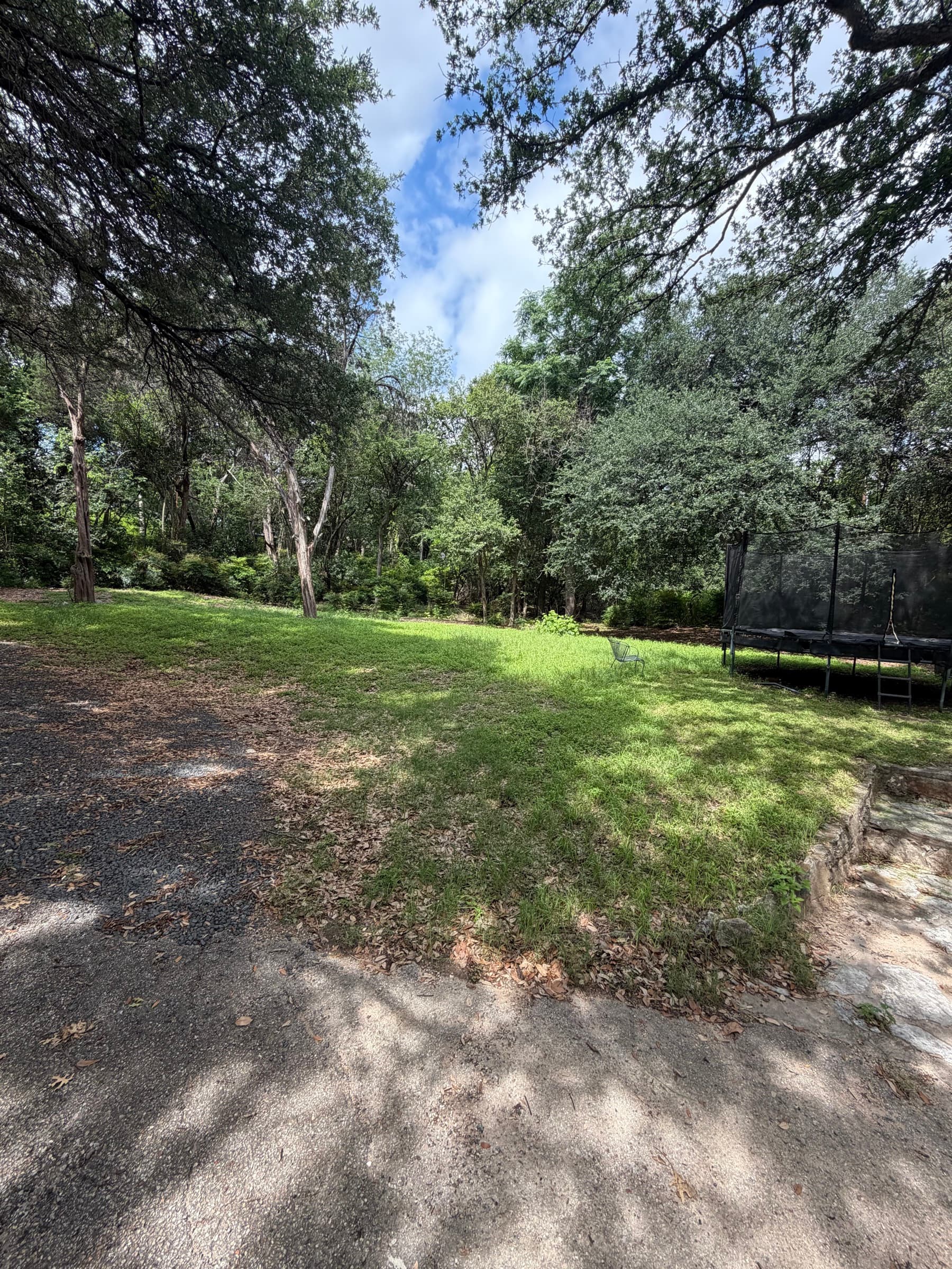 Backyard Mow — West Austin — before